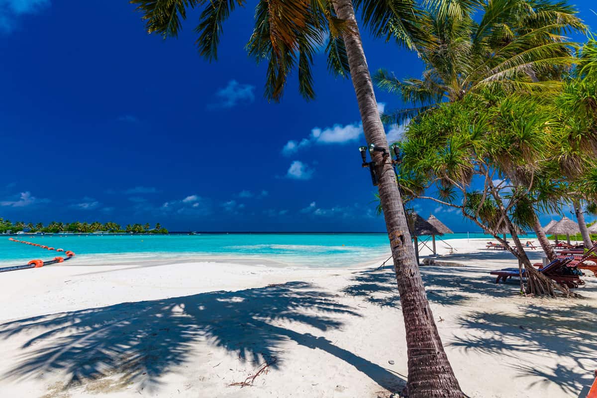Come prepararsi al meglio per una vacanza al mare 2 Vacanza al mare periodo