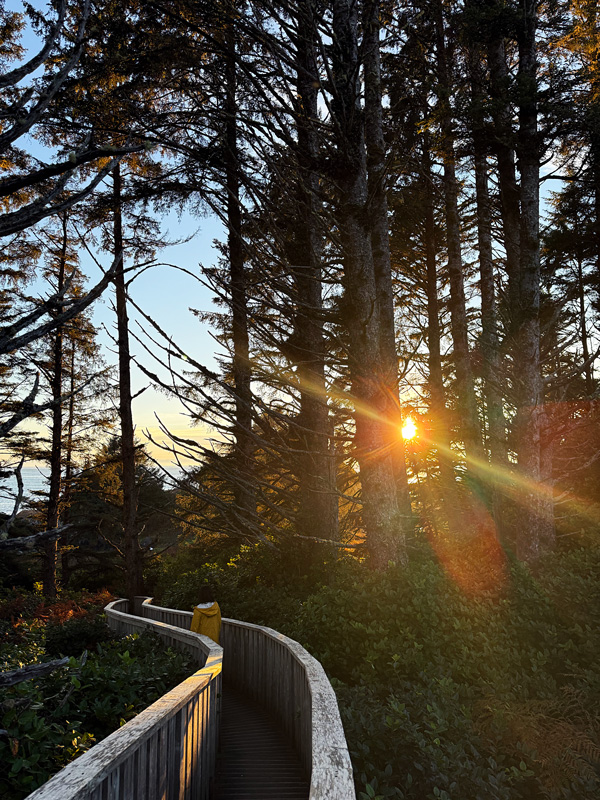 Dove dormire a Tofino: 5 hotel bellissimi sulla spiaggia 13 Tofino hotel migliore