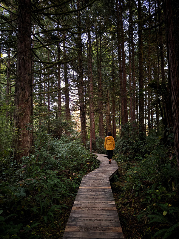 Dove dormire a Tofino: 5 hotel bellissimi sulla spiaggia 14 Hotel con punto panoramico Tofino