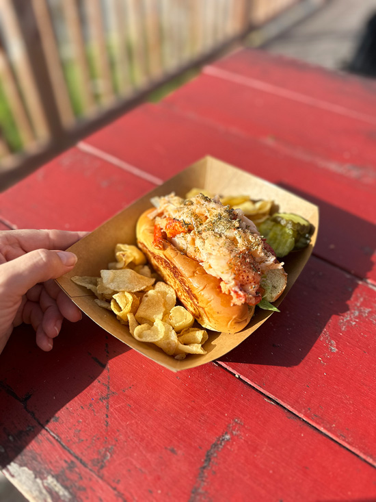 Viaggio in Nova Scotia Canada: guida completa per organizzare l'itinerario di viaggio 42 panino con aragosta Nova Scotia