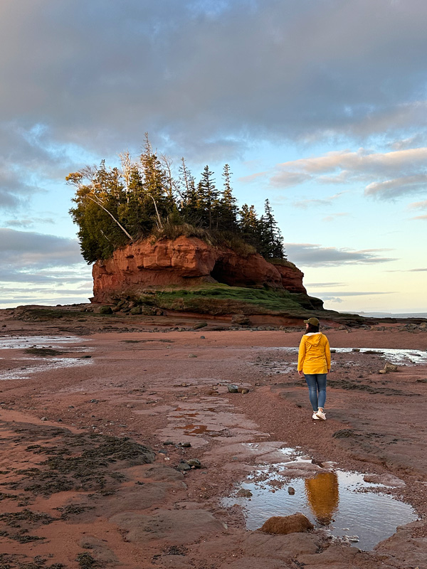 Viaggio in Nova Scotia Canada: guida completa per organizzare l'itinerario di viaggio 15 Dove vedere le maree in Nova Scotia