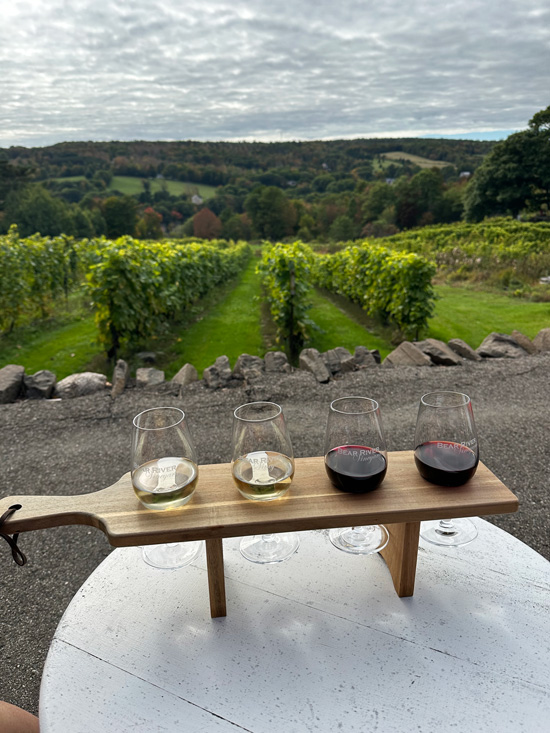 Viaggio in Nova Scotia Canada: guida completa per organizzare l'itinerario di viaggio 19 Degustare vino in Nova Scotia