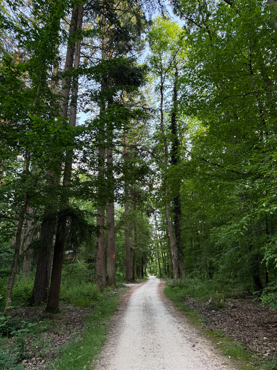 Loire Valley Lodges: dormire in uno dei 30 alloggi più romantici al mondo 14 Domire immersi nella natura in Francia
