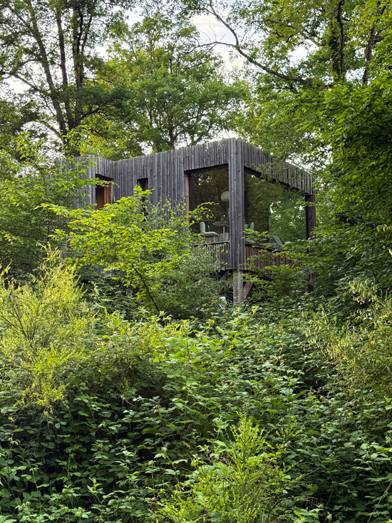 Loire Valley Lodges: dormire in uno dei 30 alloggi più romantici al mondo 13 Cabin immersa nella foresta Francia
