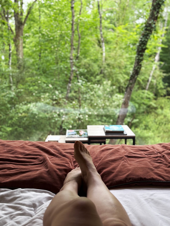 Loire Valley Lodges: dormire in uno dei 30 alloggi più romantici al mondo 11 Camera con Vista Loira