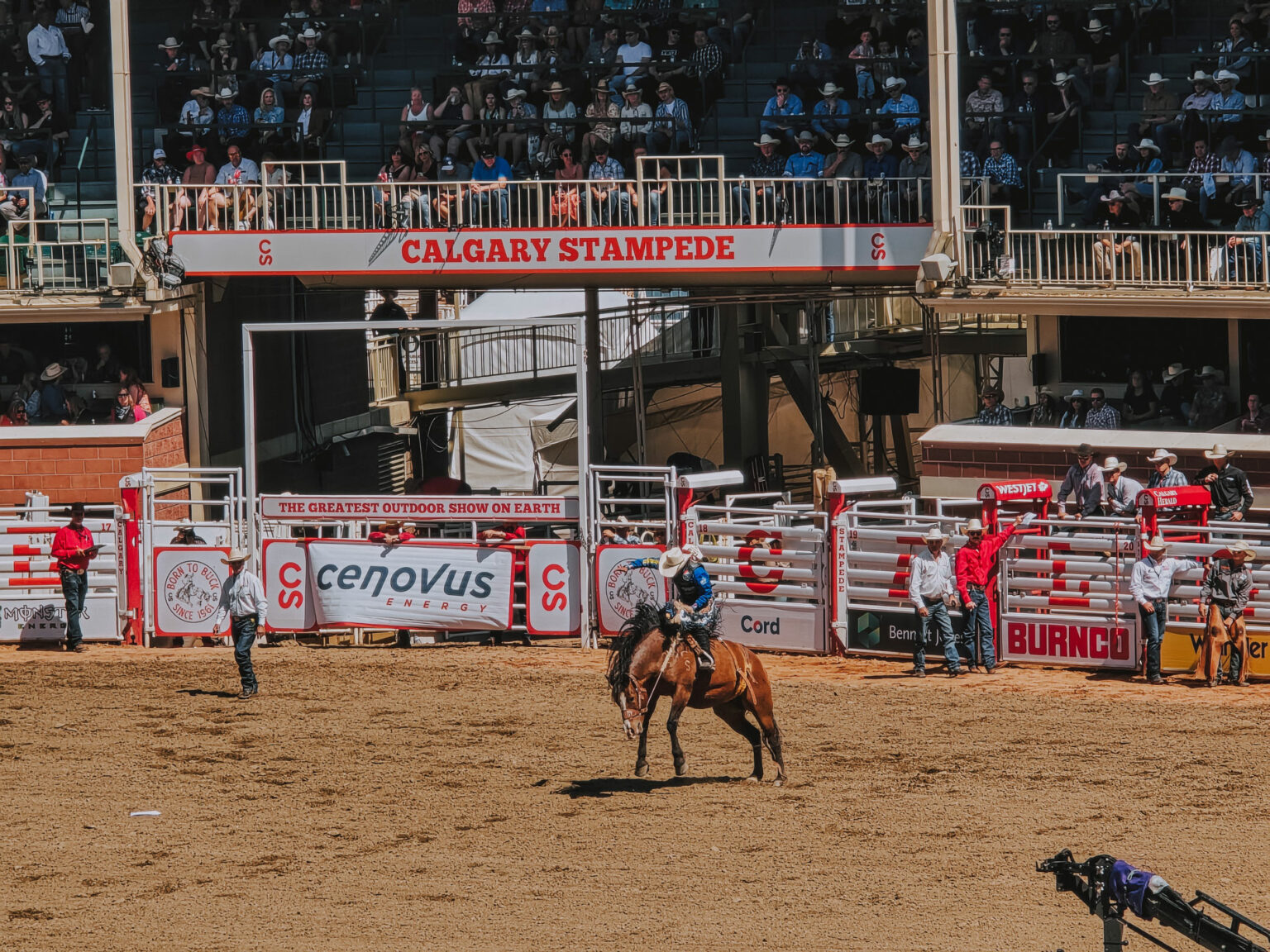 Calgary Stampede: guida completa per visitare il rodeo più grande del mondo Calgary Stampede rodeo Canada