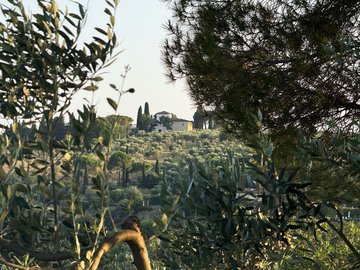 Casa Barthel: dormire vicino Firenze nella casa sull'albero più romantica d'Italia 20 Dormire sulle colline della Toscana