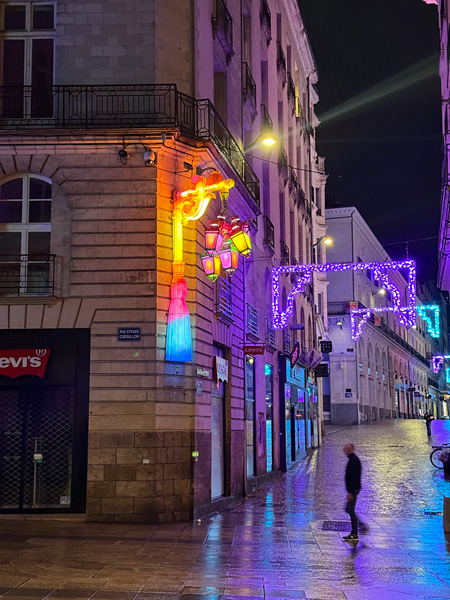 Cosa vedere a Nantes a Natale: guida alla città della Bretagna più creativa 6 Cose particolari Nantes a Natale