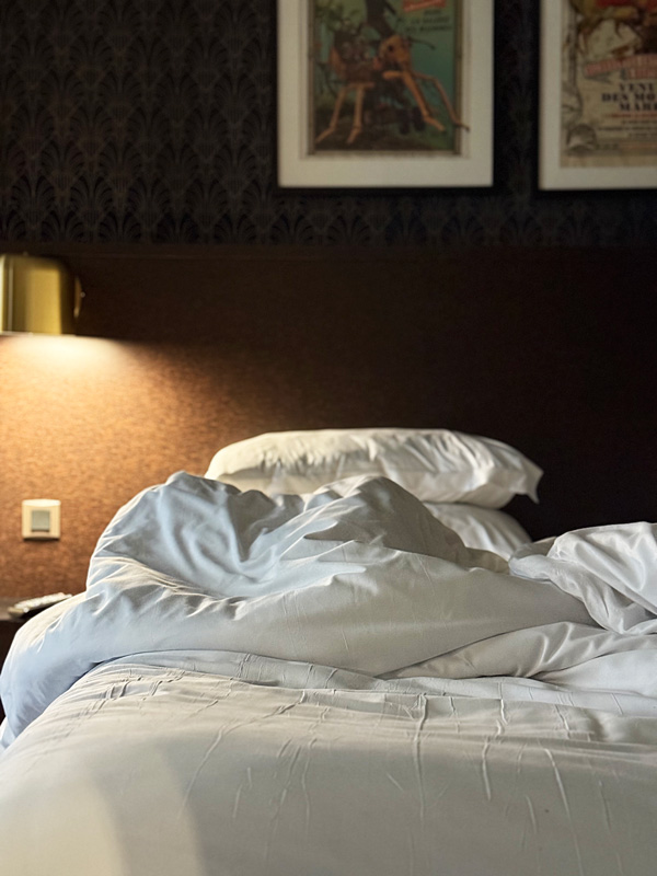 Cosa vedere a Nantes a Natale: guida alla città della Bretagna più creativa 45 Hotel Nantes