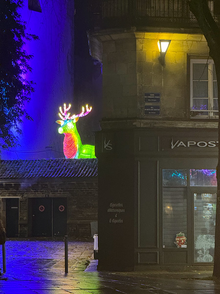 Cosa vedere a Nantes a Natale: guida alla città della Bretagna più creativa 7 Cosa vedere a Nantes