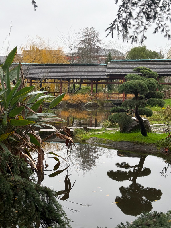 Cosa vedere a Nantes a Natale: guida alla città della Bretagna più creativa 25 Giardino Botanico Nantes
