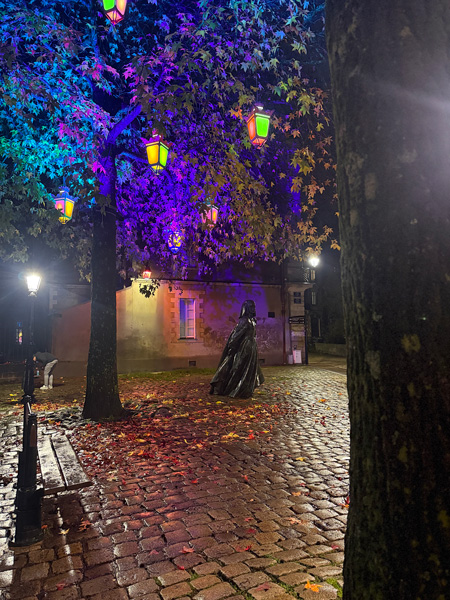 Cosa vedere a Nantes a Natale: guida alla città della Bretagna più creativa 3 Luci a Natale Nantes