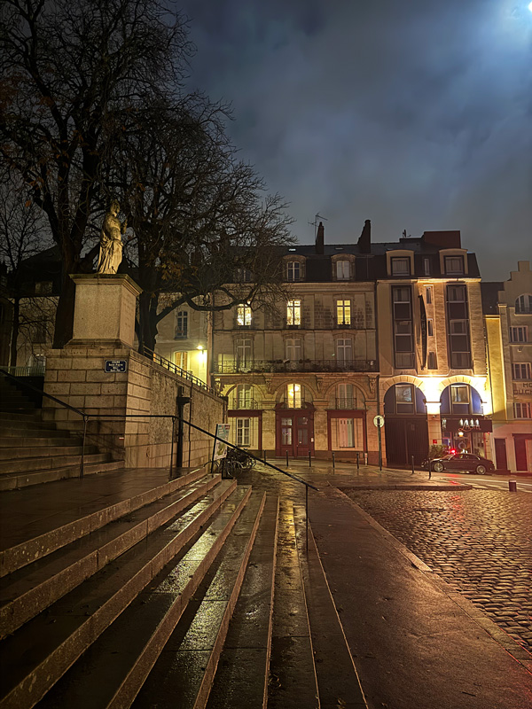 Cosa vedere a Nantes a Natale: guida alla città della Bretagna più creativa 10 nantes Città della Bretagna