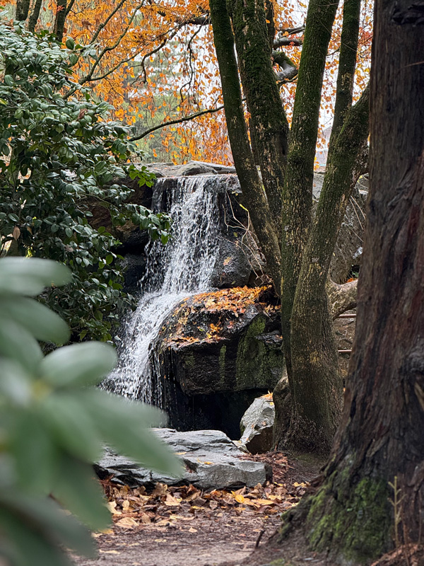 Cosa vedere a Nantes a Natale: guida alla città della Bretagna più creativa 26 Nantes Giardino Botanico
