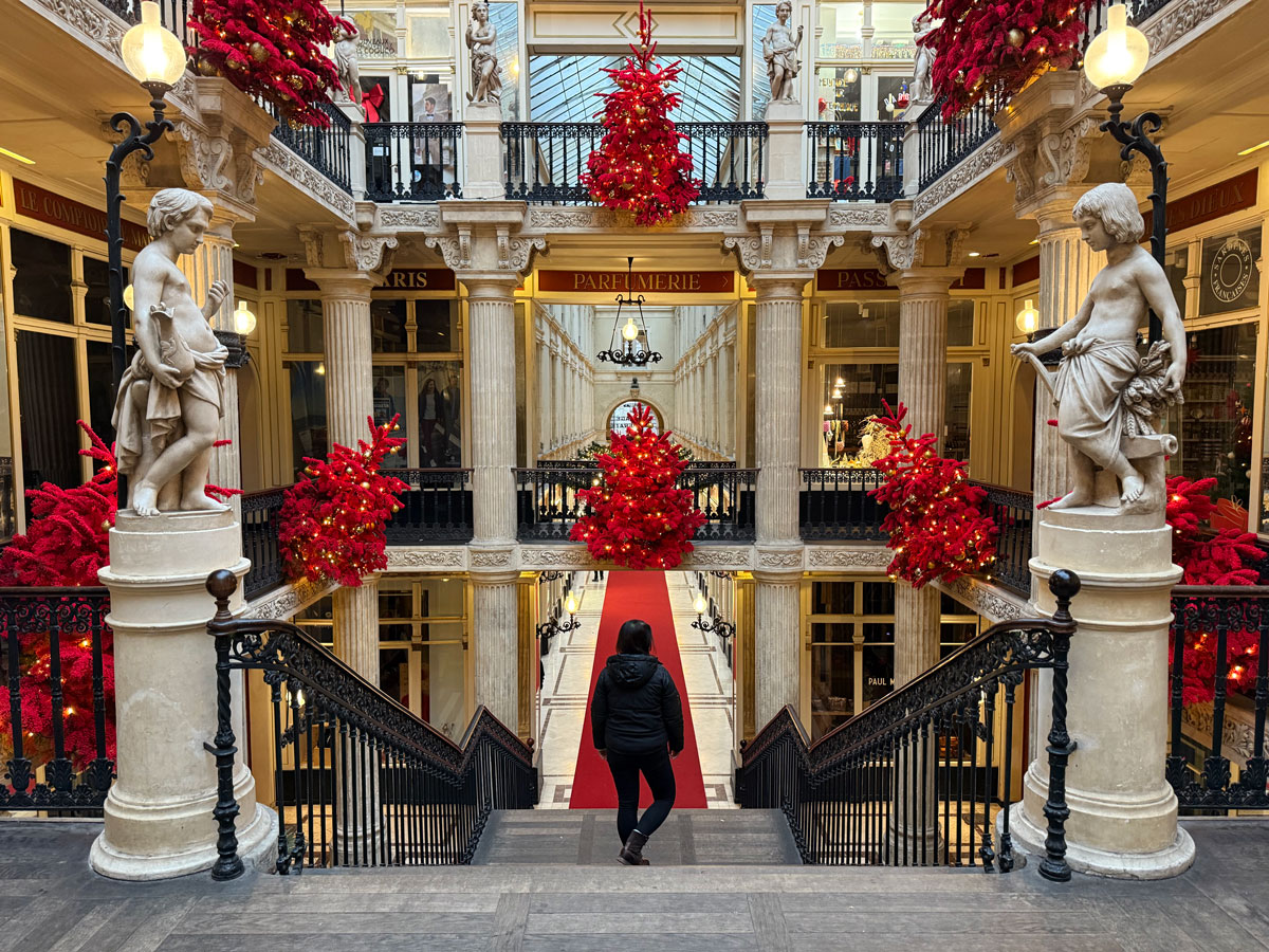 Cosa vedere a Nantes a Natale: guida alla città della Bretagna più creativa 18 Passage Pommeraye Nantes