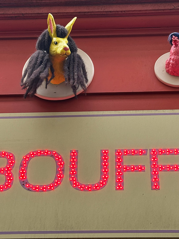 Cosa vedere a Nantes a Natale: guida alla città della Bretagna più creativa 48 Insegne particolari Nantes