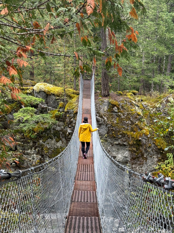 Dove dormire a Bella Coola, Canada: esperienza esclusiva al Firvale Wilderness Camp 40 Escursione nella foresta Canada
