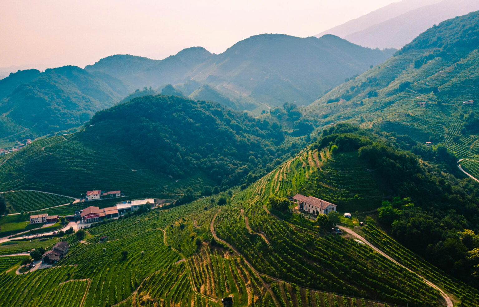 Viaggio nelle terre delle bollicine italiane: itinerari tra Franciacorta e colline del Prosecco Colline del prosecco